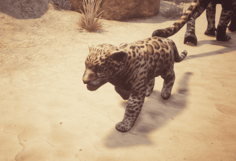 Conan Exiles Jaguar Cub Guide Conan Fanatics
